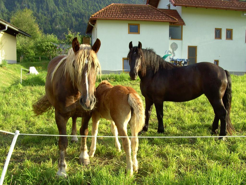 Ferienwohnung Millonigg Vorderberg Номер фото